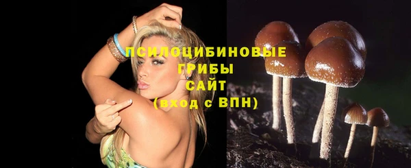 spice Гусь-Хрустальный