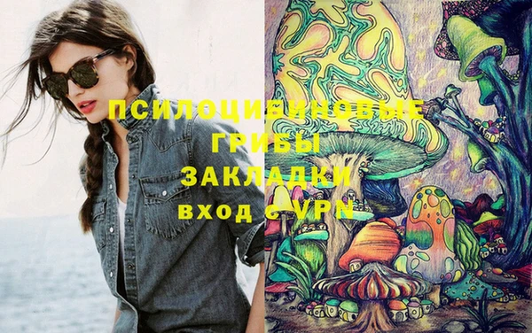 mix Гусиноозёрск